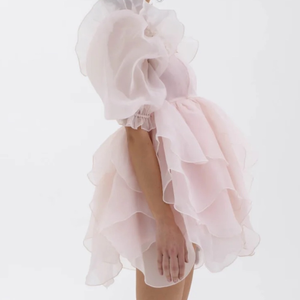 Selkie The Peach Skin Rose Petal Puff Dress - Picture 6 of 9